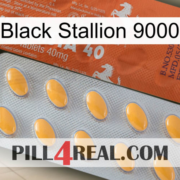 Black Stallion 9000 43.jpg